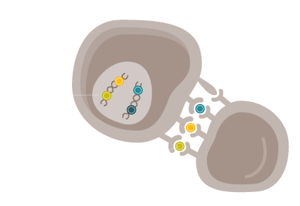 tumor cell